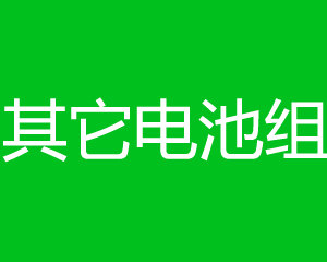 其它电池组